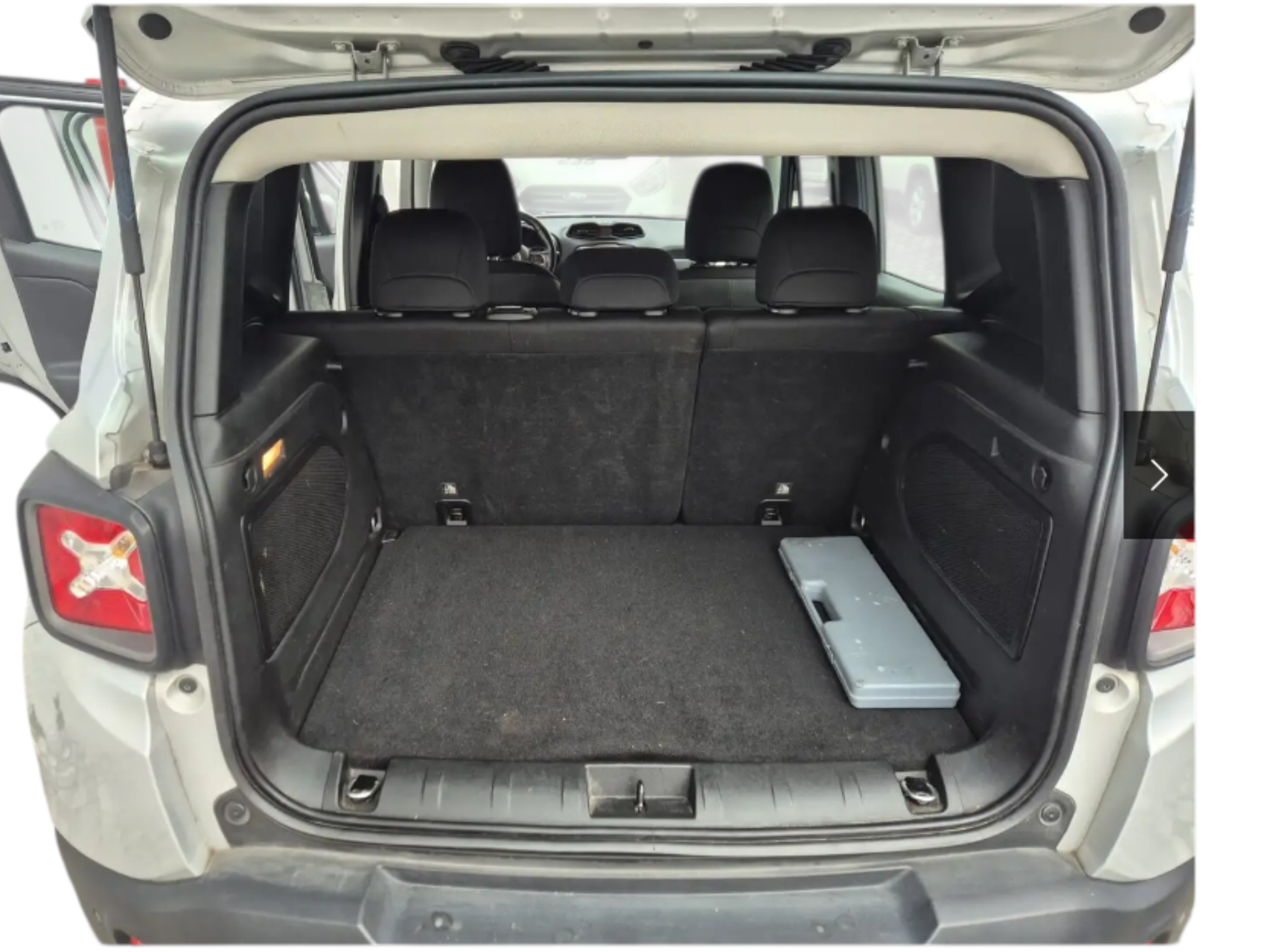 JEEP RENEGADE  1.6 MJT LIMITED  PERFETTA