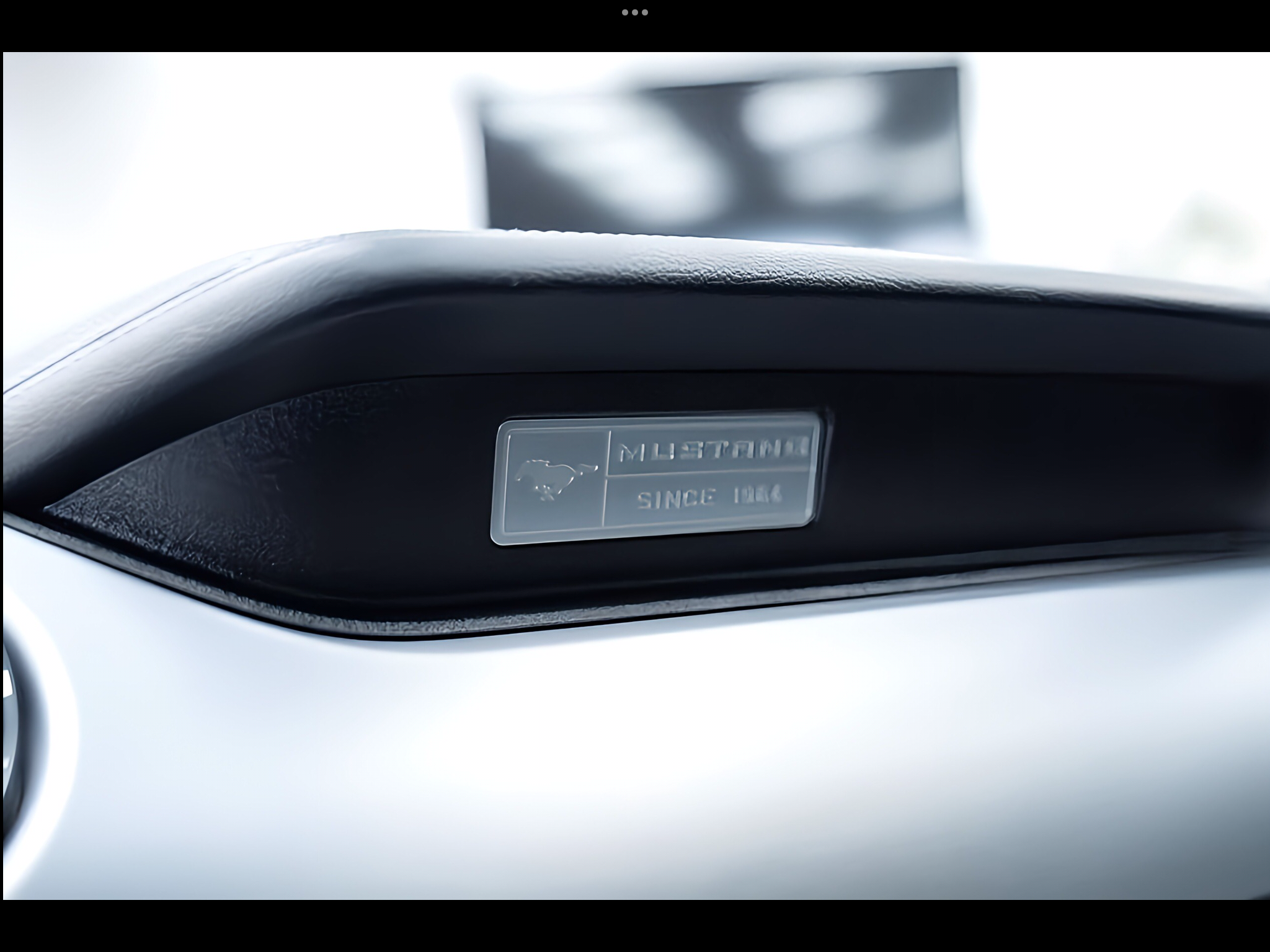 MUSTANG COUPE  PERFETTA