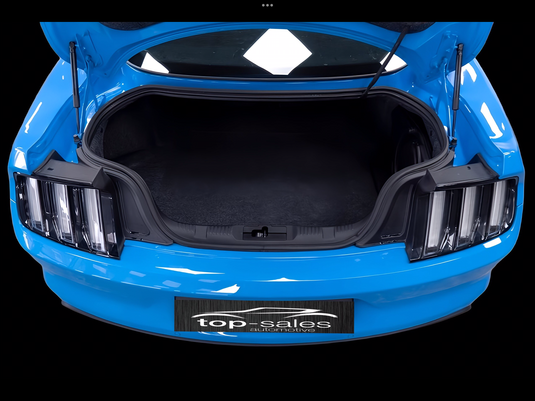 MUSTANG COUPE  PERFETTA