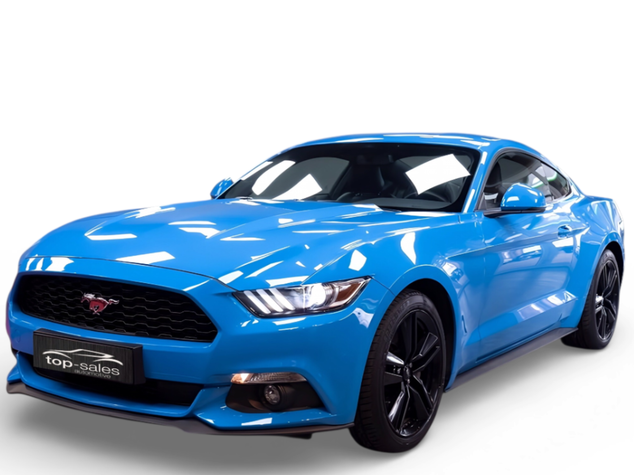 MUSTANG COUPE  PERFETTA