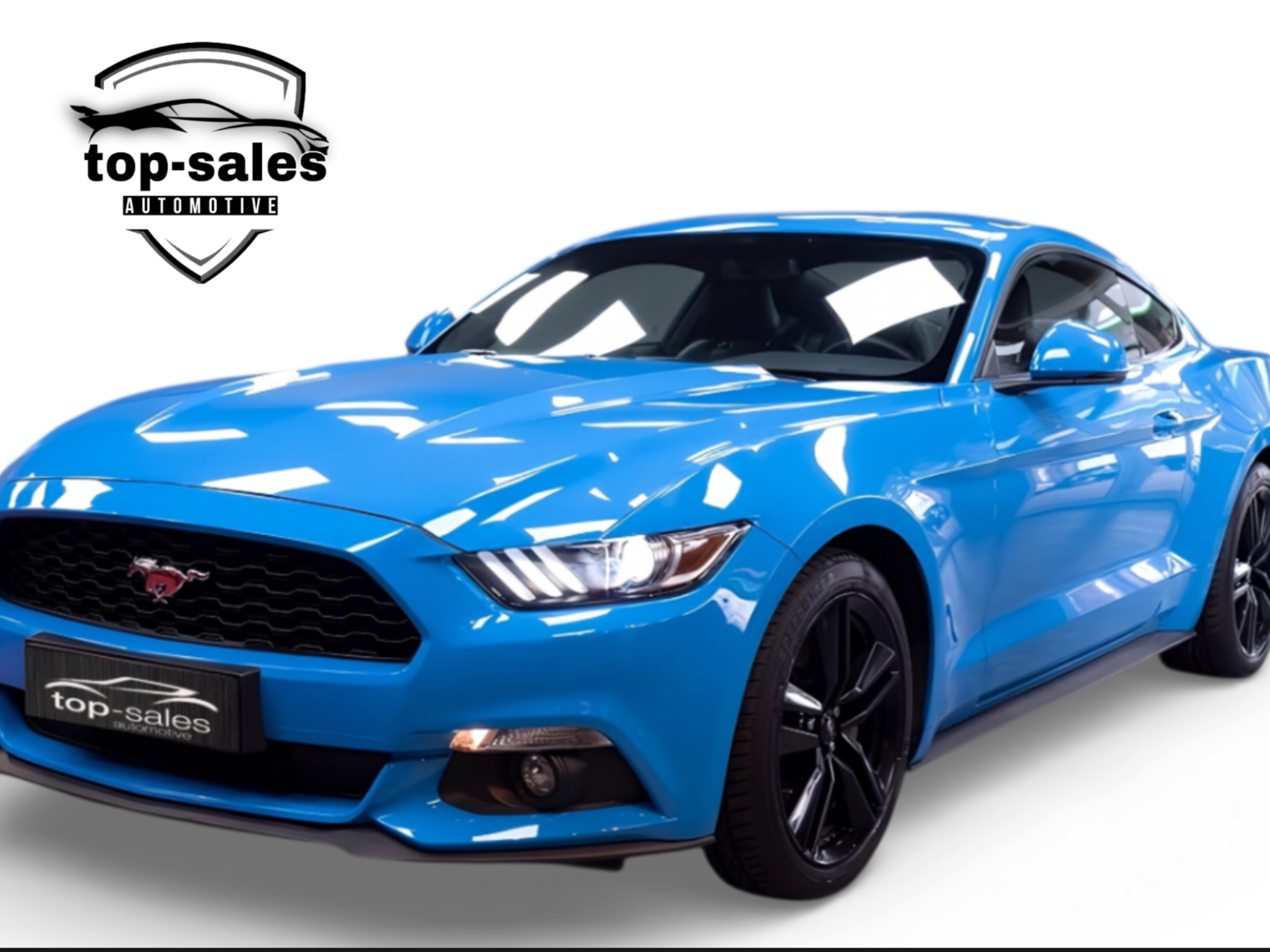 MUSTANG COUPE  PERFETTA