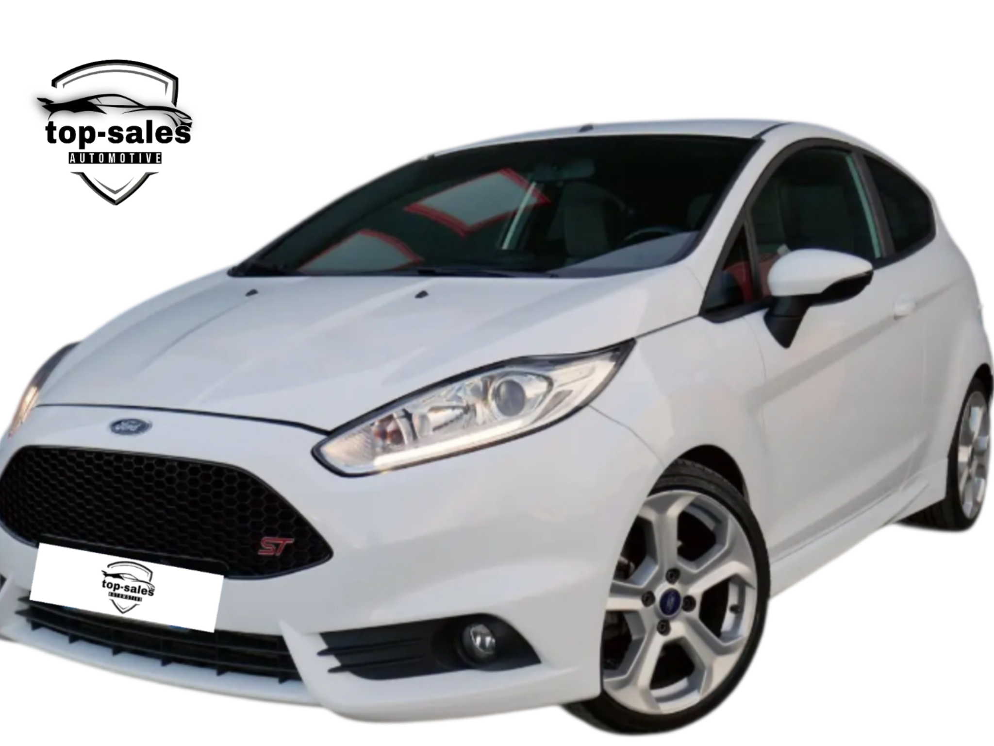 FORD FIESTA 1.6 ST  182 CV PERFETTA
