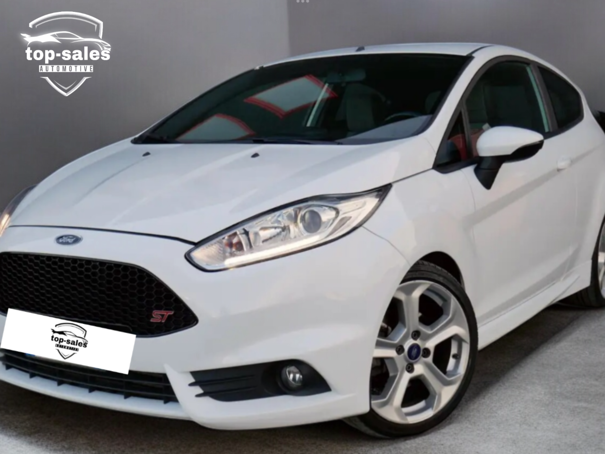 FORD FIESTA 1.6 ST  182 CV PERFETTA