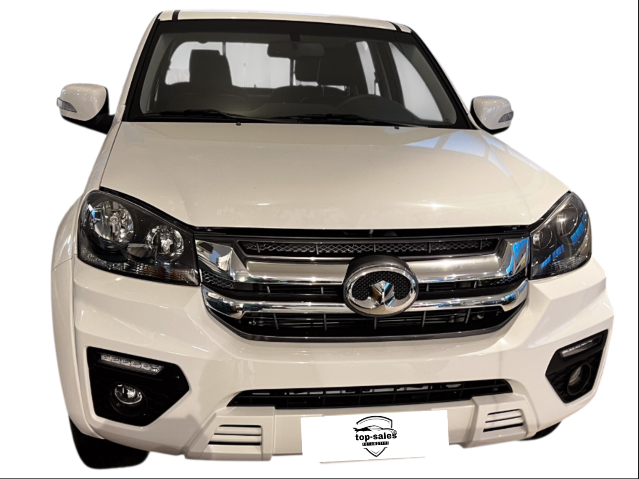 GWM GREAT WALL STEED PREMIUM NUOVO .