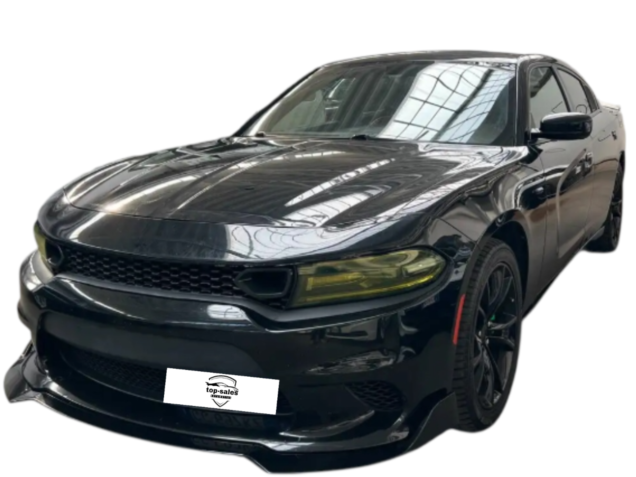 DODGE CHARGER  3.6  CV 296 PERFETTA