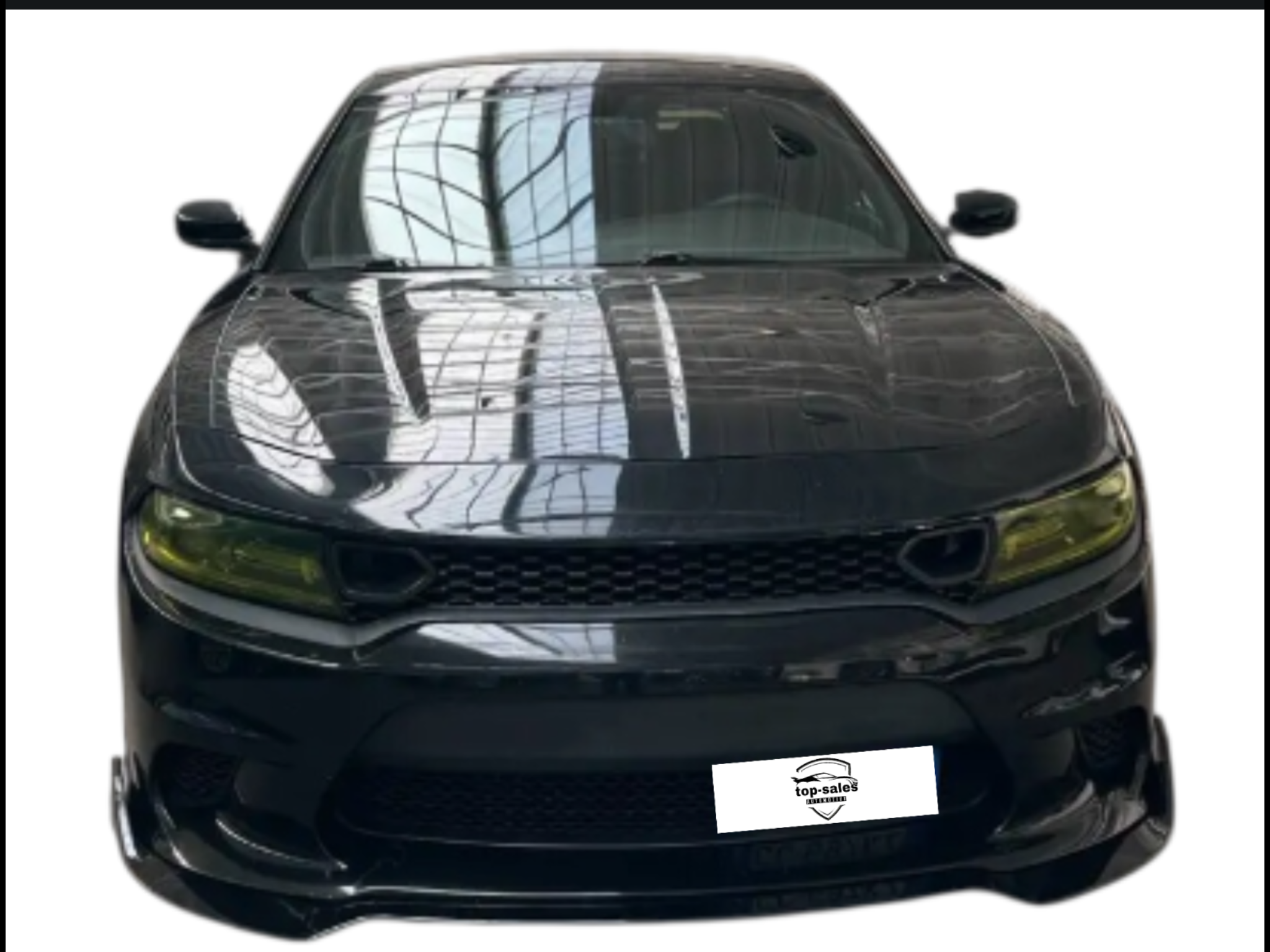 DODGE CHARGER  3.6  CV 296 PERFETTA