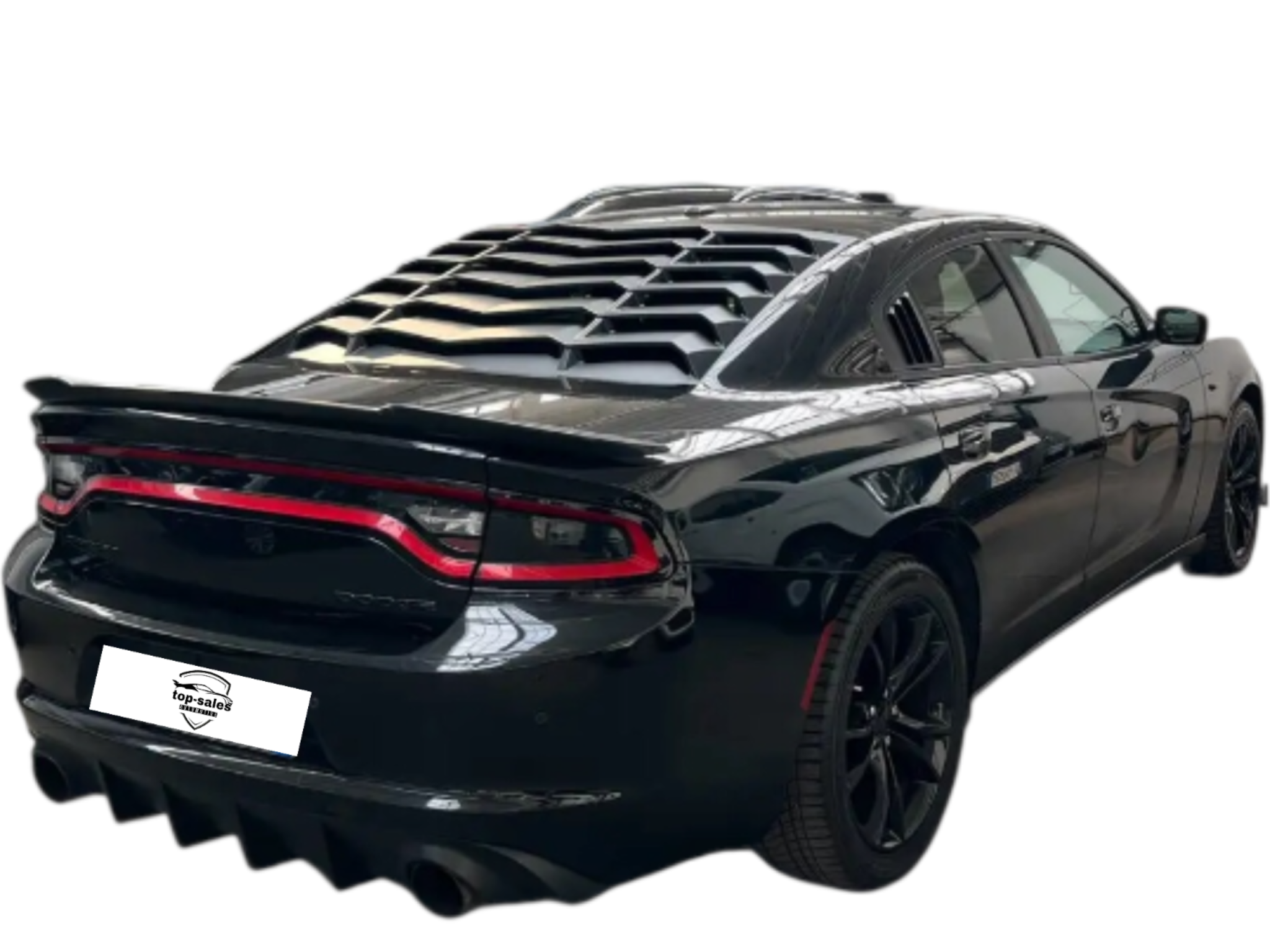 DODGE CHARGER  3.6  CV 296 PERFETTA