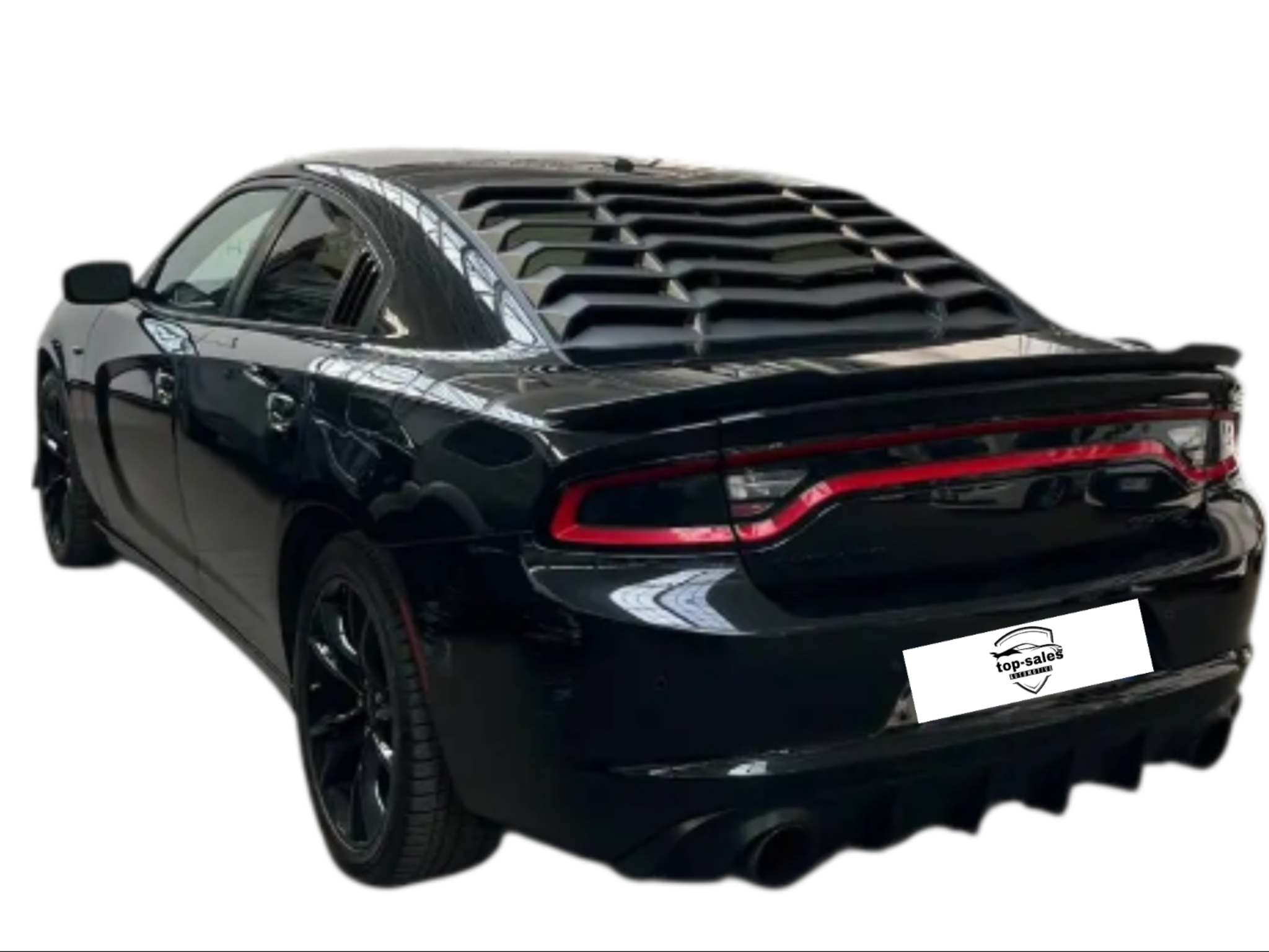 DODGE CHARGER  3.6  CV 296 PERFETTA