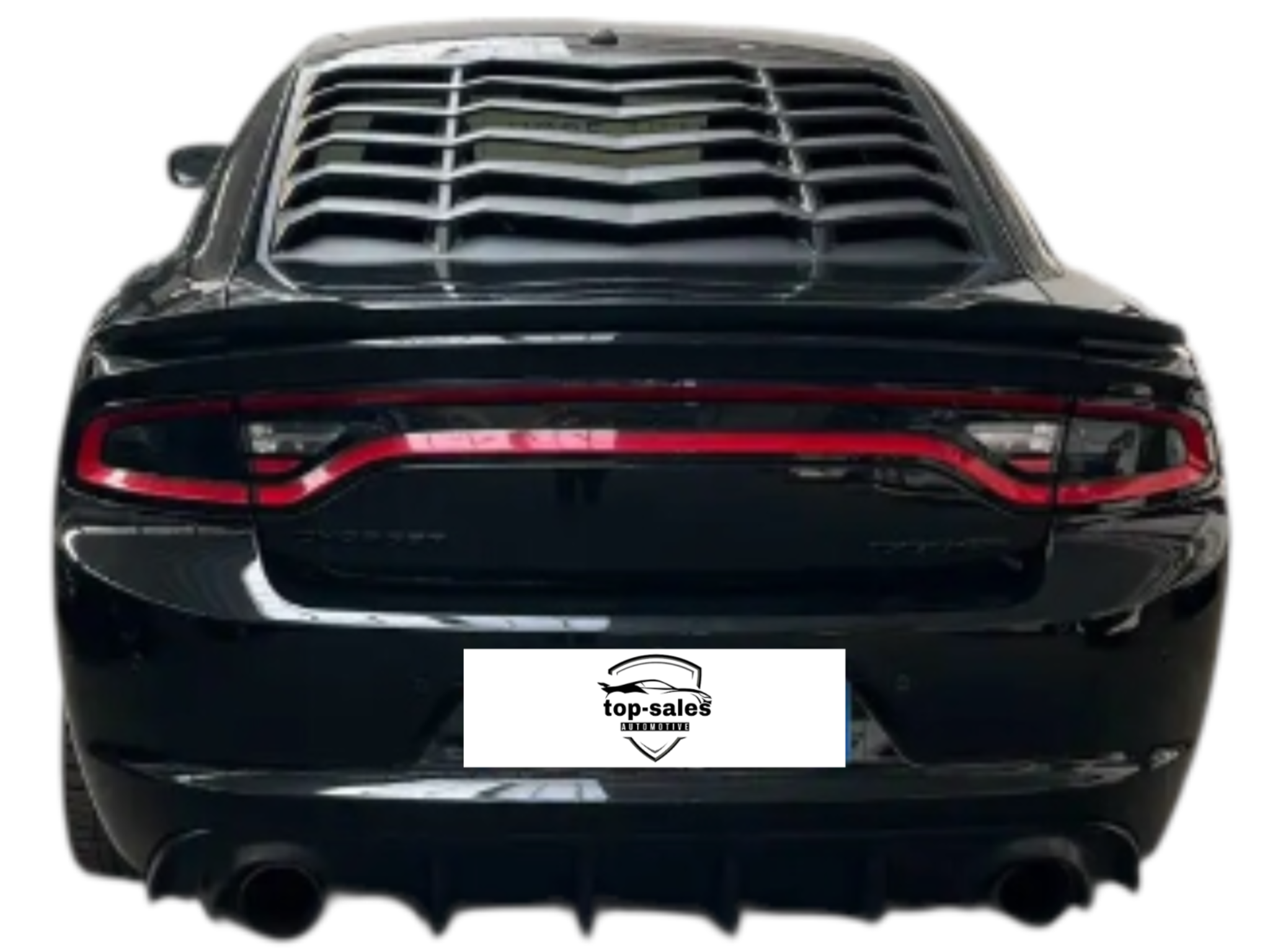 DODGE CHARGER  3.6  CV 296 PERFETTA