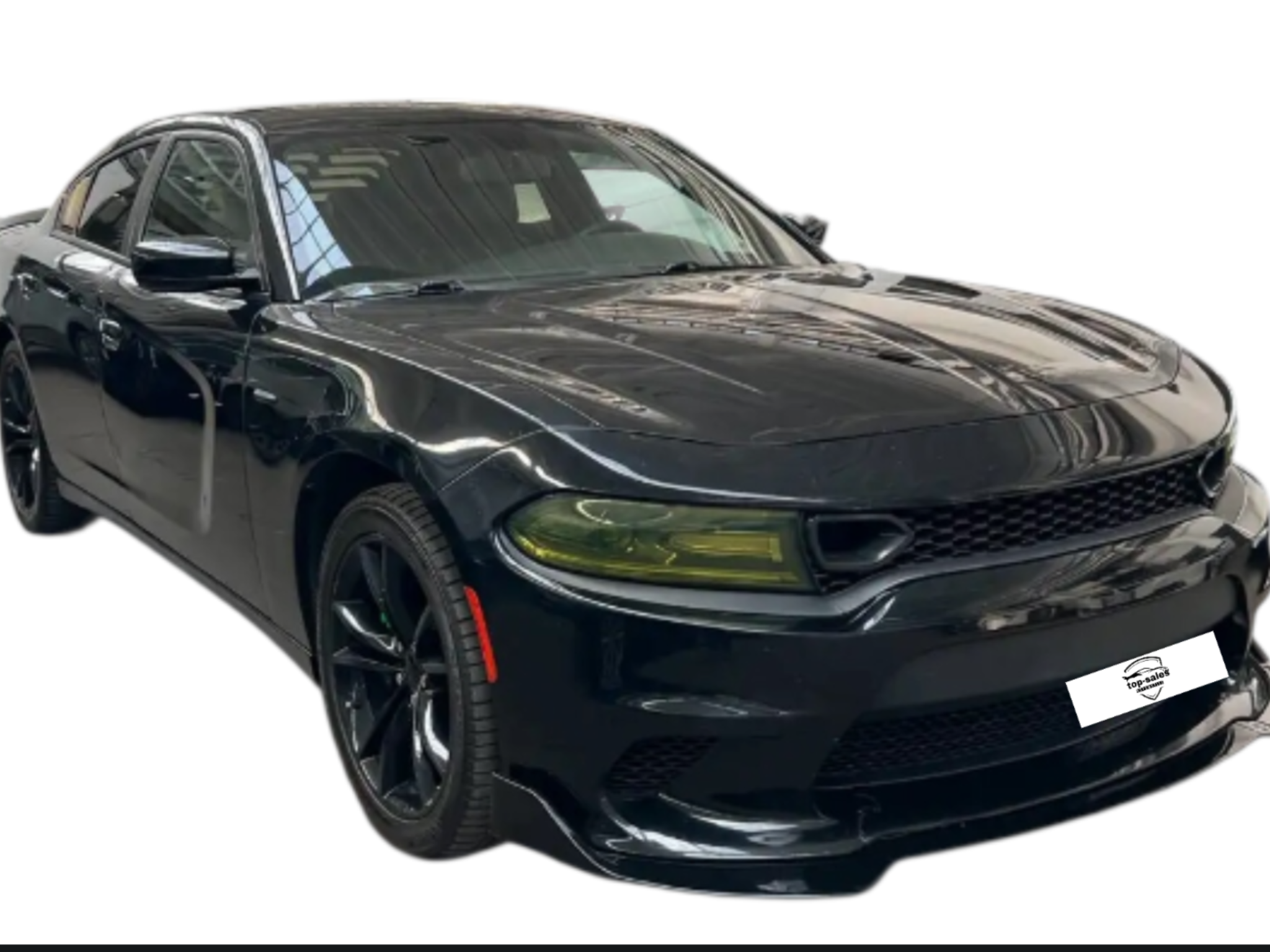 DODGE CHARGER  3.6  CV 296 PERFETTA