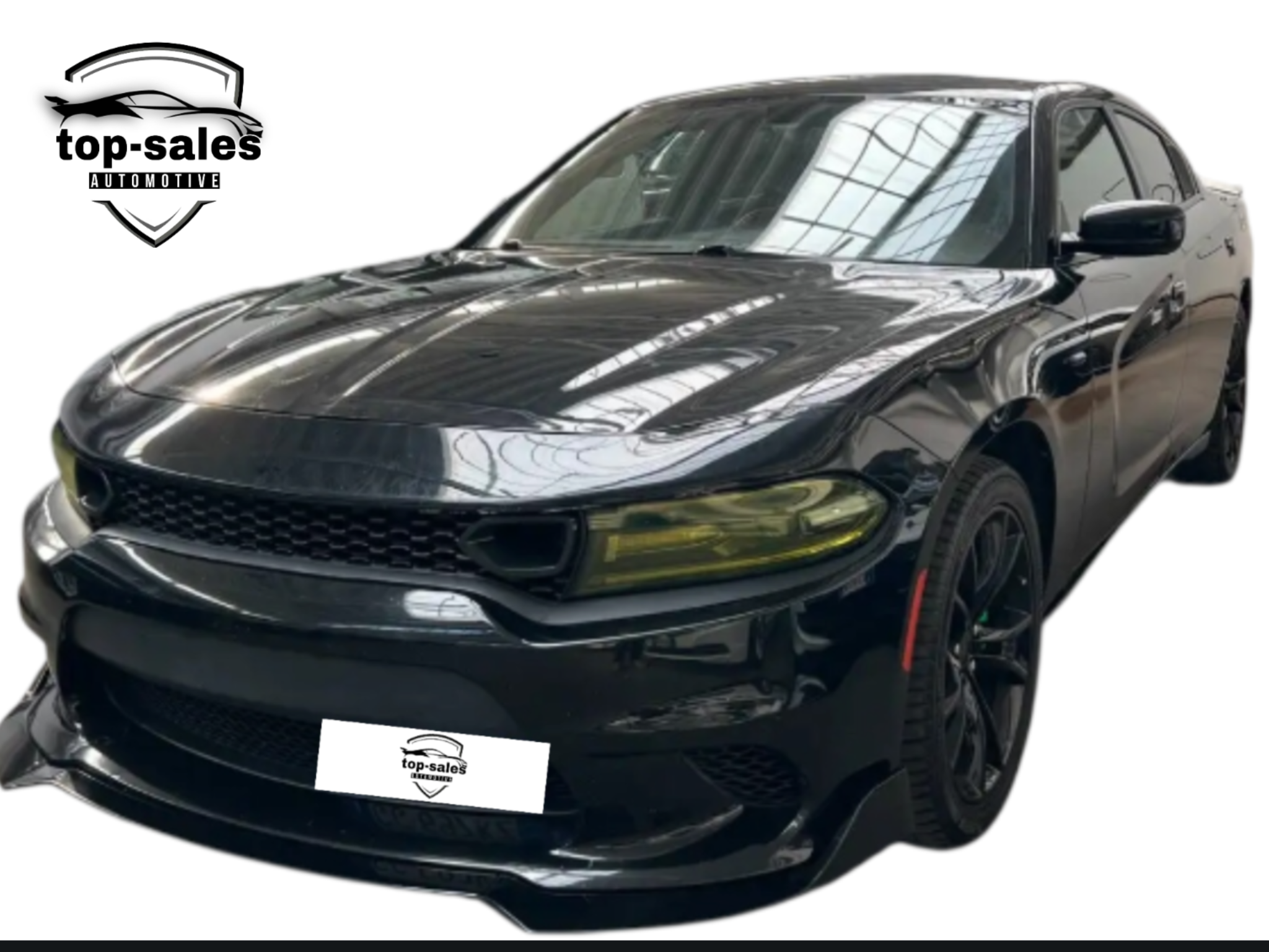 DODGE CHARGER  3.6  CV 296 PERFETTA