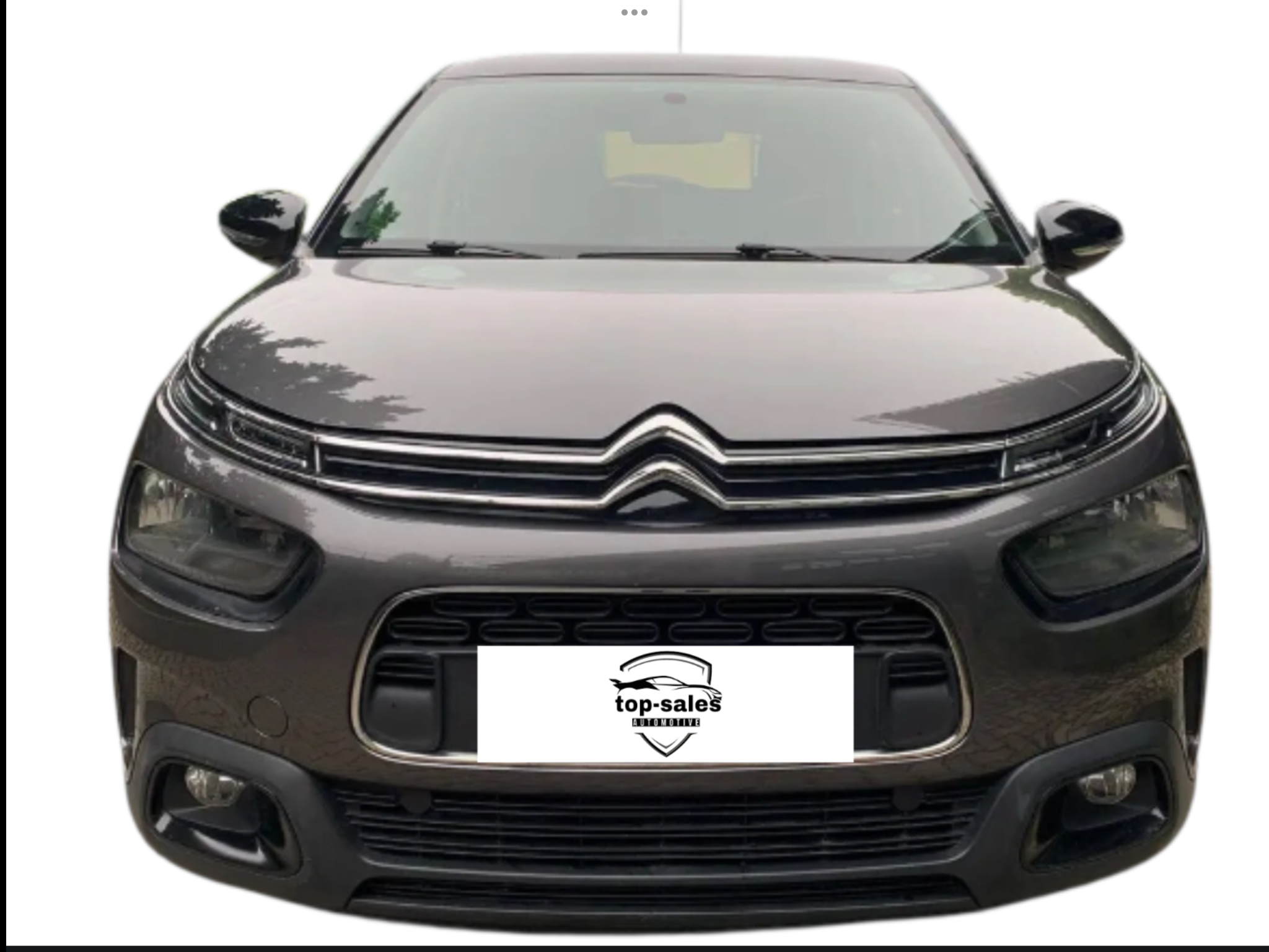 CITROËN C4 CACTUS 1.5 BLUE HDI PERFETTA